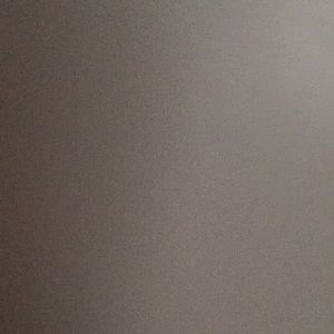 Meet your Posher, Sasha